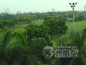 深セン 名商 ゴルフ クラブ