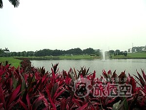 仙村 ゴルフ クラブ 広州